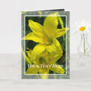 Search for daylilies cards Hemerocallis