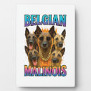 Recherche de belge plaques Loup