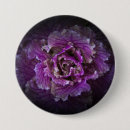 Search for beautiful blossom buttons Bloom