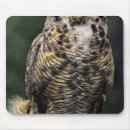 Search for horned owl mousepads Bird of prey