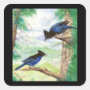 Search for stellar stickers Wildlife