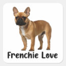 Search for french bulldog mum Puppy