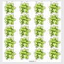 Search for lime stickers Craft