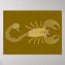 Search for scorpion posters Poisonous