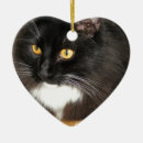 Search for long haired cat ornaments Cute
