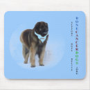 Search for dog bones mousepads Canine