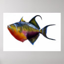 Recherche de animaux marins posters Nature