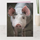 Search for hogs cards Hogs and kisses