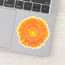 Search for single white flower stickers For her