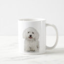 Recherche de frises bichon tasses Chien