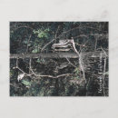 Search for herons postcards Photograph