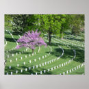 Search for springtime posters Colourful