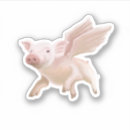 Search for when pigs fly stickers Funny