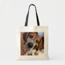 Search for dog picture bags Modern