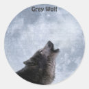 Search for grey wolf stickers Wolves
