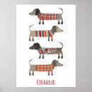 Search for sausage posters Dachshund