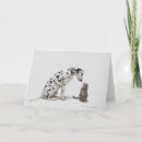 Recherche de dominateur vœux cartes Humour