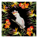 Recherche de perroquets posters Cockatoo