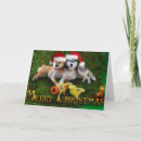 Search for shiba inu christmas cards Santa