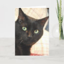 Recherche de chat noir anniversaire cartes Vert