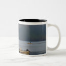 Search for early morning mugs Scenery