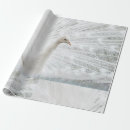 Search for peacock feathers wrapping paper White