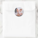 Search for colors stickers Red