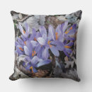 Search for purple crocus Elegant
