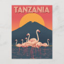Recherche de de flamant cartes postales Tanzanie