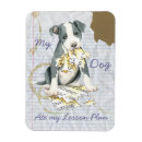 Recherche de pitié magnets Pitbull