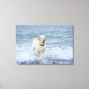 Search for front canvas prints Motion