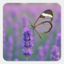 Recherche de ailes de papillon autocollants Nature