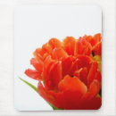 Recherche de tulipe orange tapis souris Nature