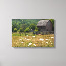 Search for rustic country canvas prints Flowers