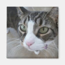 Recherche de fainéant magnets Humoristique