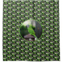 Recherche de perruche verte maison deco Perroquet