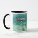 Search for captivating mugs Nature