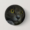 Recherche de chat gris badges Minou