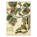 Search for red dragonfly postcards Whimsical