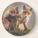 Recherche de petit renard dessous de verres Mignon