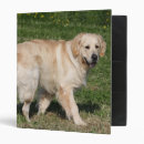Search for dog walking binders Bob and pam langrish