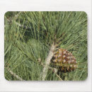 Search for needle electronics Tree