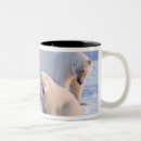 Search for sow mugs Alaska