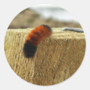 Search for fuzzy stickers Animal