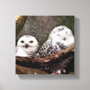 Search for wildlife canvas prints Bird lover