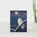 Search for snowy note cards Owl