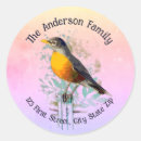 Search for american robin stickers Wildlife