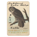 Recherche de hibou magnets Vintage