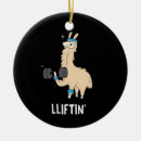 Search for weight lifting ornaments Gym