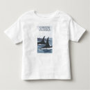 Search for cordova tshirts Collection